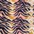Zebra Dúo